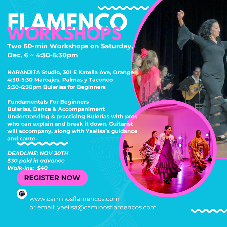 Dec. 6 Naranjita Workshop