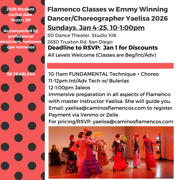 JANUARY SAN DIEGO FLYER